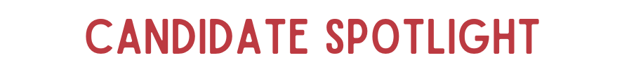 Voice of the Customer